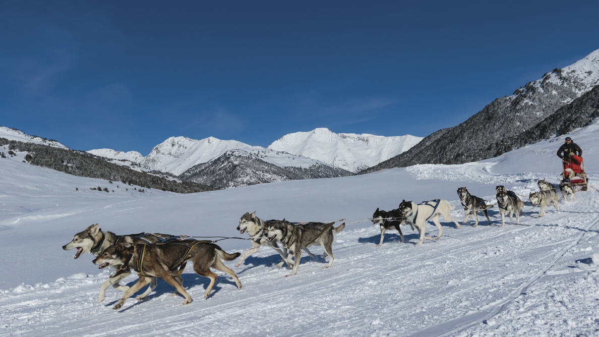 Hundeschlittenfahrt im Val d'Aran © Christopher Willan Photography